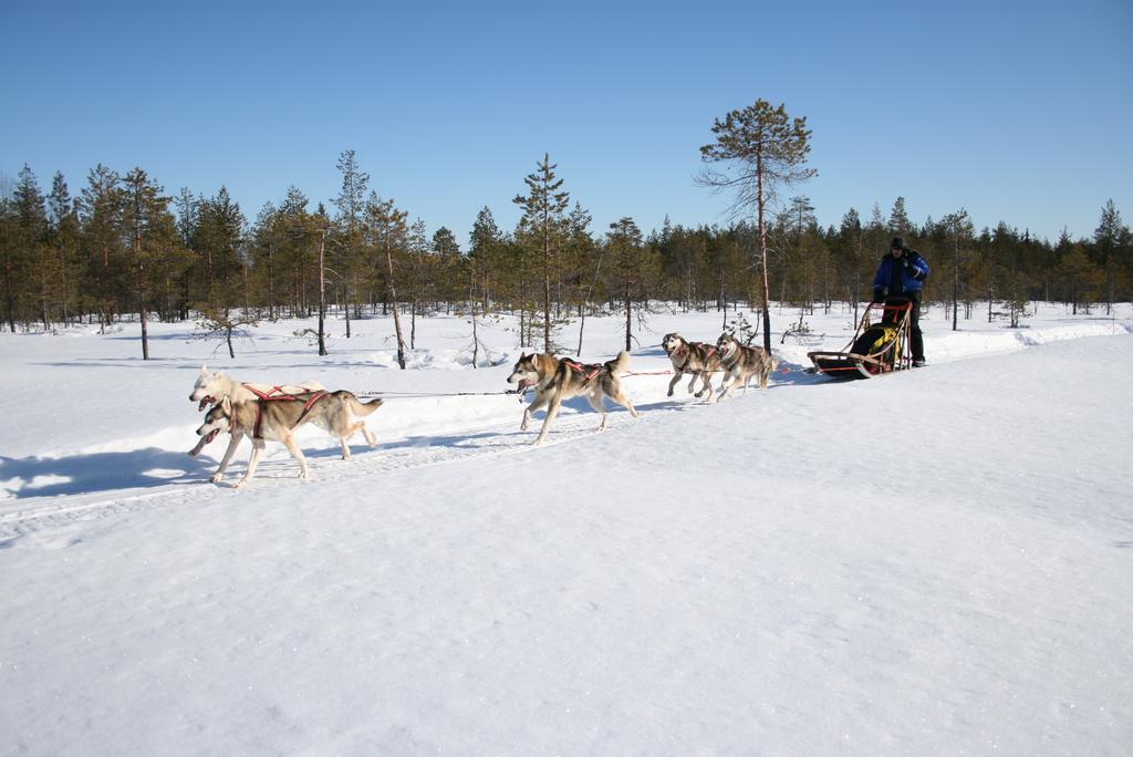 Loma-Vietonen Holiday Village Meltosjärvi Exteriör bild